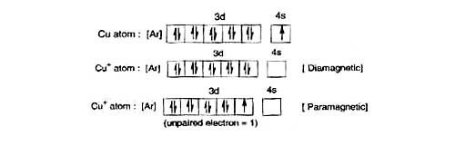 Hund's rule, hunds rule electronic configuration of diamagnetic, hunds rule electronic configuration of diamagnetic