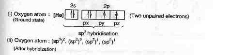 In the H2O molecule, the oxygen atom is the central atom, It undergoes sp3-hybridizations as follows