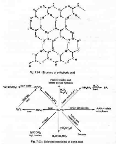 Oxyacids of Boron
