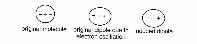original molecule original dipole due to induced dipole electron oscillation, Origin of cohesive forces in non-polar molecules.
